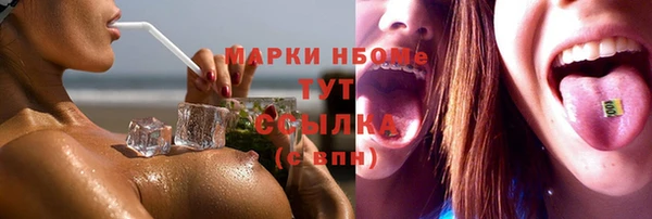 прущие грибы Заволжье