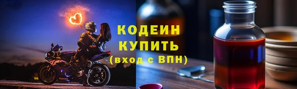 прущие грибы Заволжье