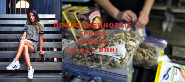 прущие грибы Заволжье