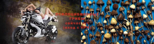 трава Заволжск