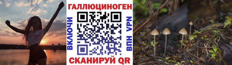 Купить где  Куса  Псилоцибиновые грибы ЛСД 
